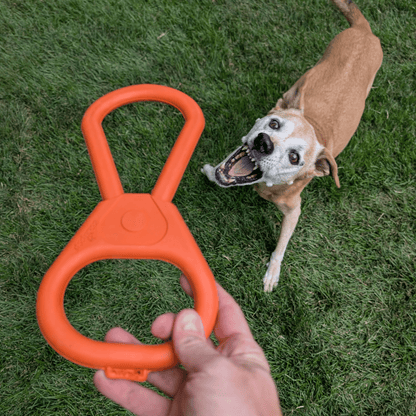 Chew Toys - Shaketea