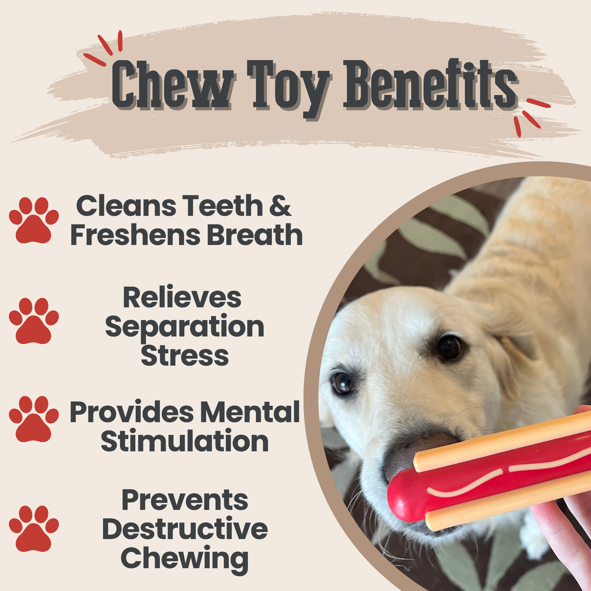 Chew Toys - Shaketea