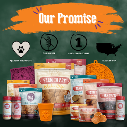 Pet Treat Molds - Shaketea