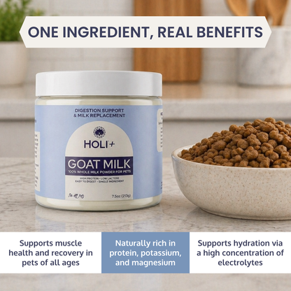HOLI Powdered Goat Milk for Dogs & Cats | Single-Ingredient Topper & Milk Replacer