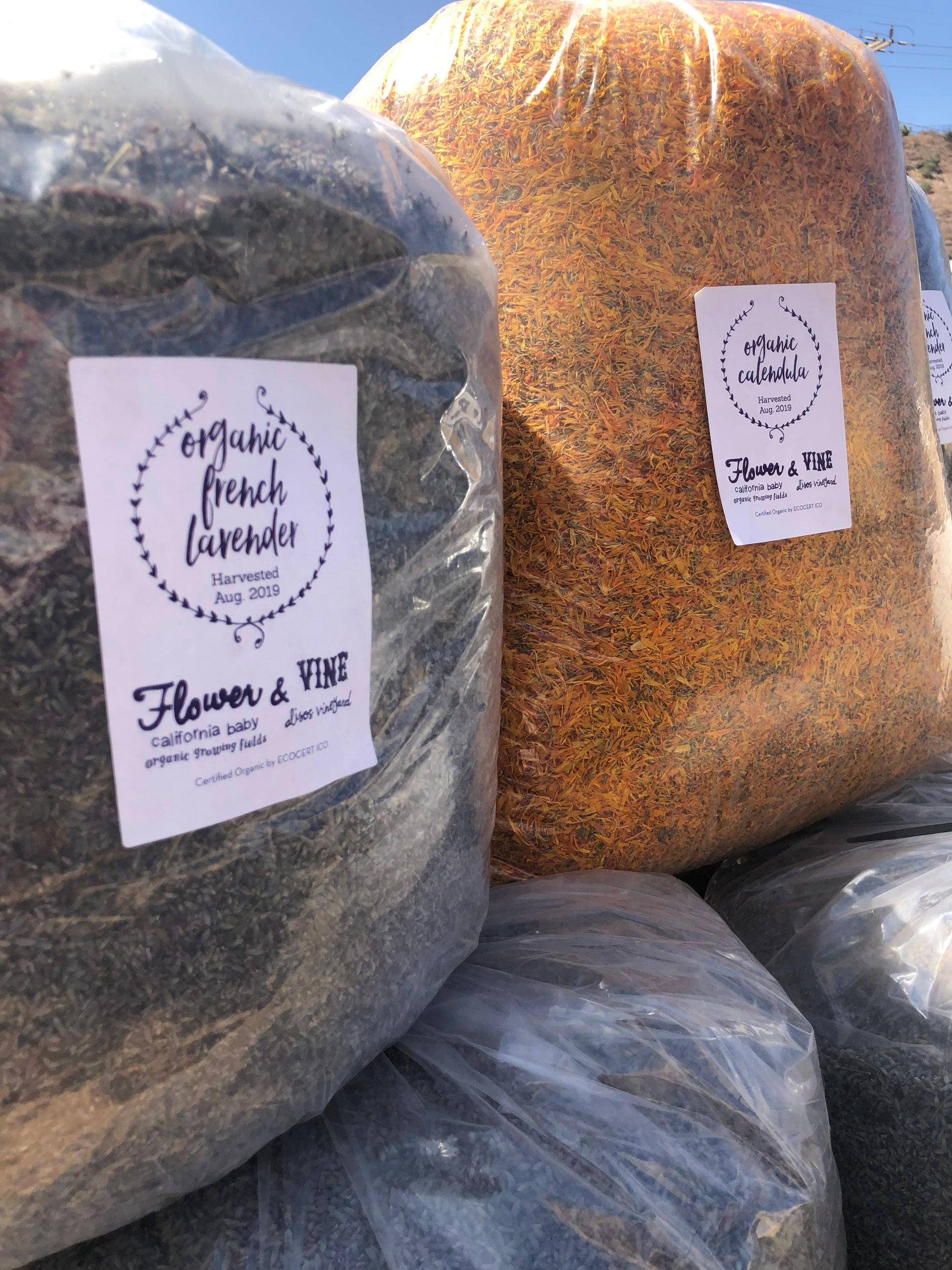 (Certified Organic)™ Lavender Sachet - Shaketea