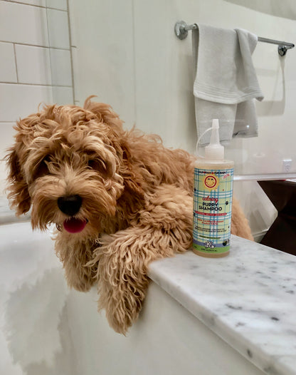 Calming™ Puppy + Dog Wash - Shaketea