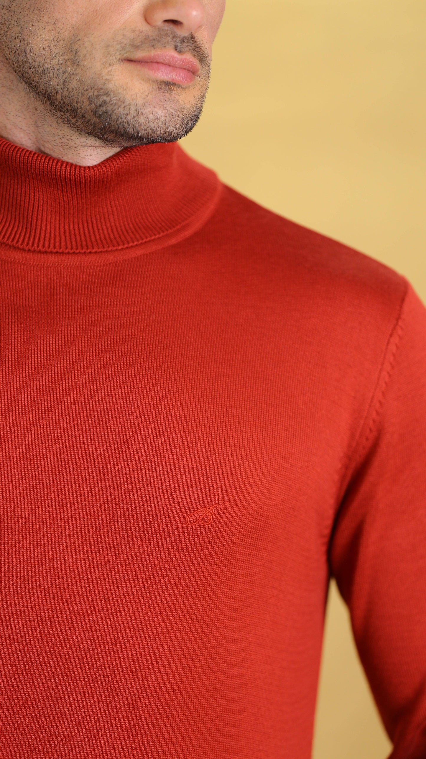 The Trailblazer Sweater(Blaze)