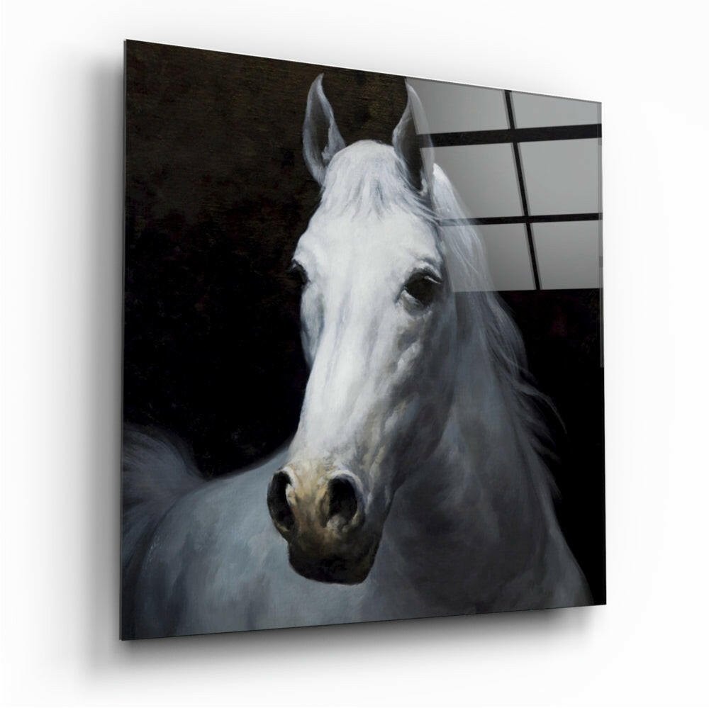 White Stallion Head Portrait Glass Wall Art