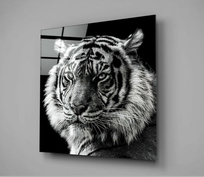 Tiger's Look Glass Wall Art