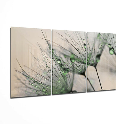 Dewdrop Dandelion Seeds Macro Glass Wall Art