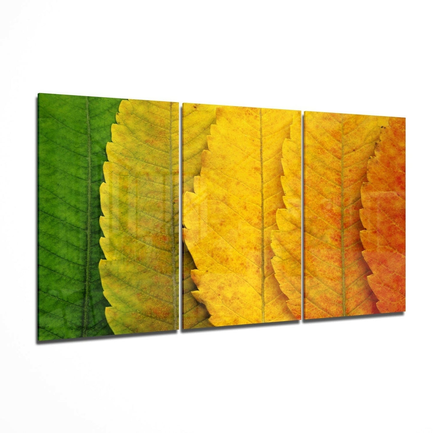 Green To Orange Leaf Gradient Glass Wall Art