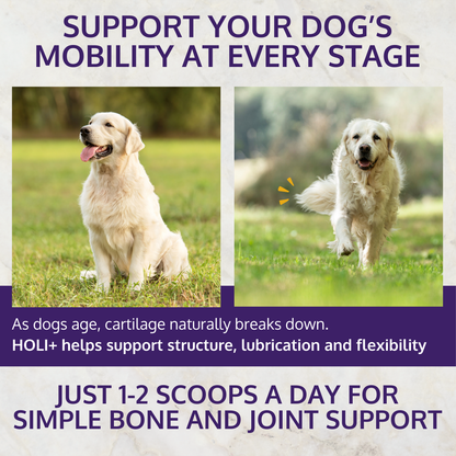 HOLI+ Collagen for Dogs