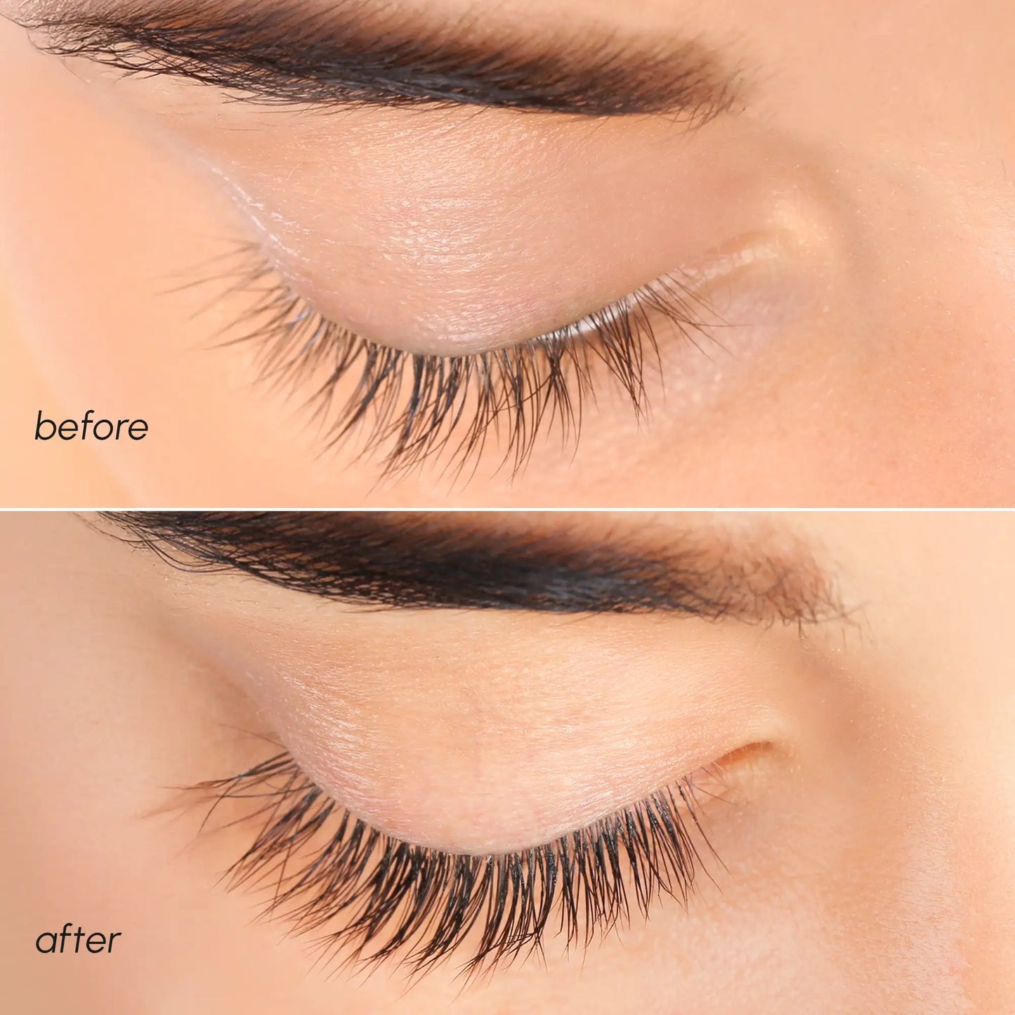 Lash & Brow Growth Serum