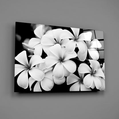 Monochrome Plumeria Cluster Glass Wall Art