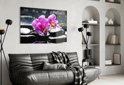 Magenta Orchid Pair Black Stones Glass Wall Art