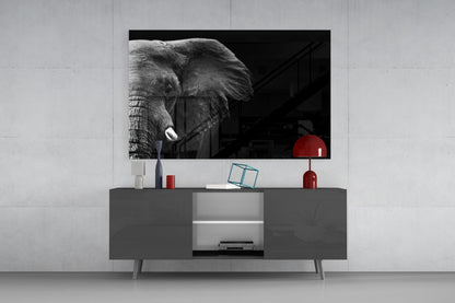Dramatic Black Background Elephant Glass Wall Art