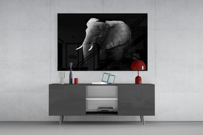 Ear Detail Black and White Elephant Glass Wall Art