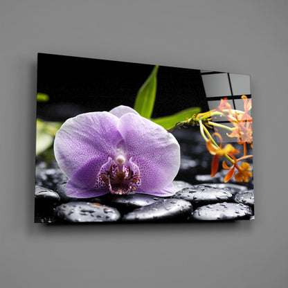 Lilac Orchid Orange Blooms Glass Wall Art