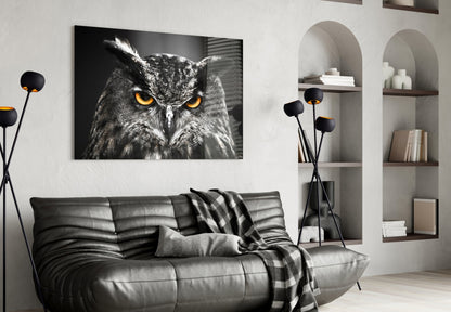 Horned Owl Orange Eyes Glass Wall Art