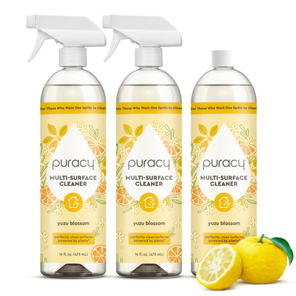 Everyday Multi-Surface Cleaner