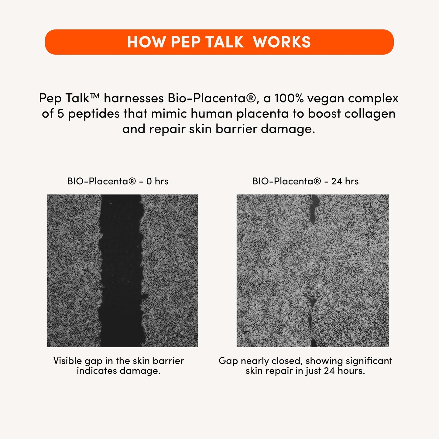 PEP TALK™ Bio-Peptide Barrier Repair Cream with Triple Lipid Complex