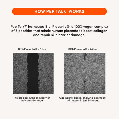 PEP TALK™ Bio-Peptide Barrier Repair Cream with Triple Lipid Complex