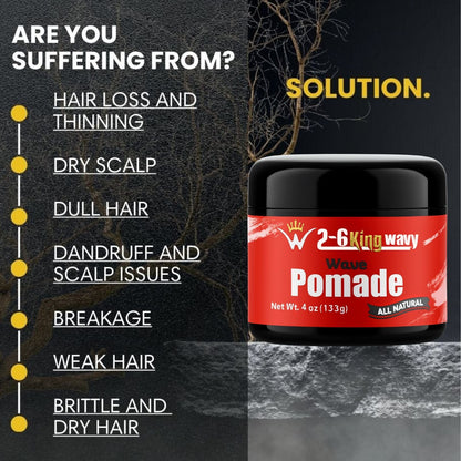 360 Wave Pomade for Hold, Shine & Moisture