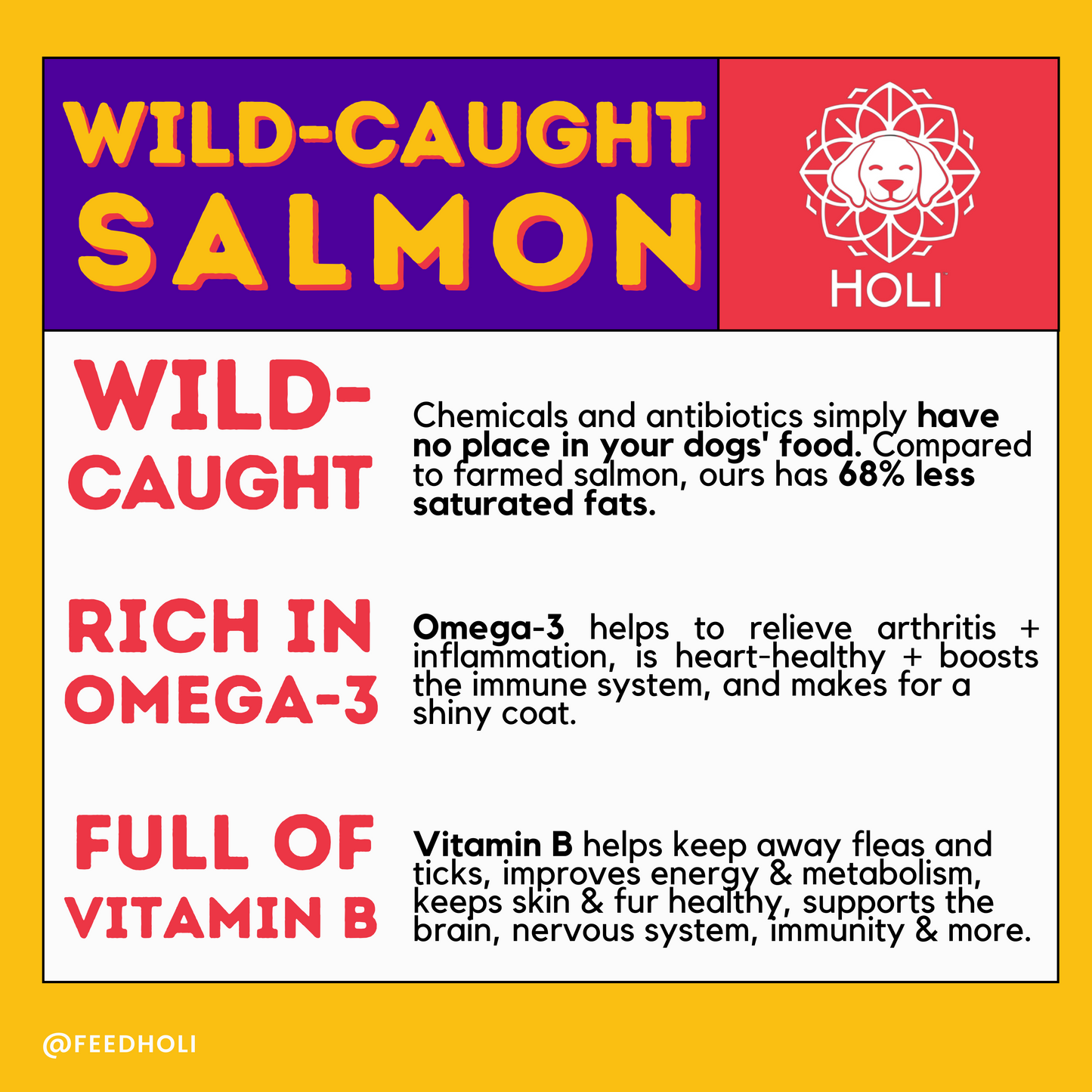 Wild Caught Salmon Dog Food Topper - Freeze Dried - Single Ingredient