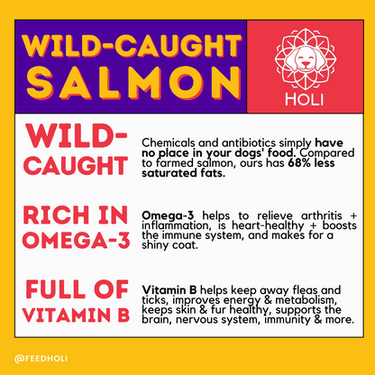 Wild Caught Salmon Dog Food Topper - Freeze Dried - Single Ingredient