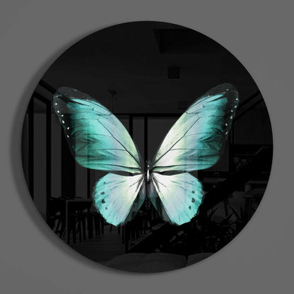 Turquoise Butterfly on Black Glass Wall Art