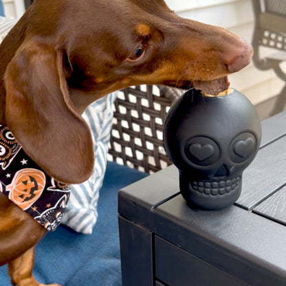 Dog Treat Dispensers - Shaketea