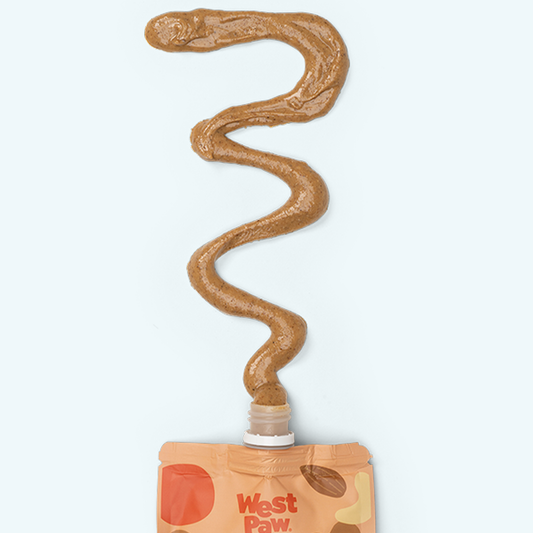Nut Butter, Sweet Potato, and Chia Seed - Shaketea