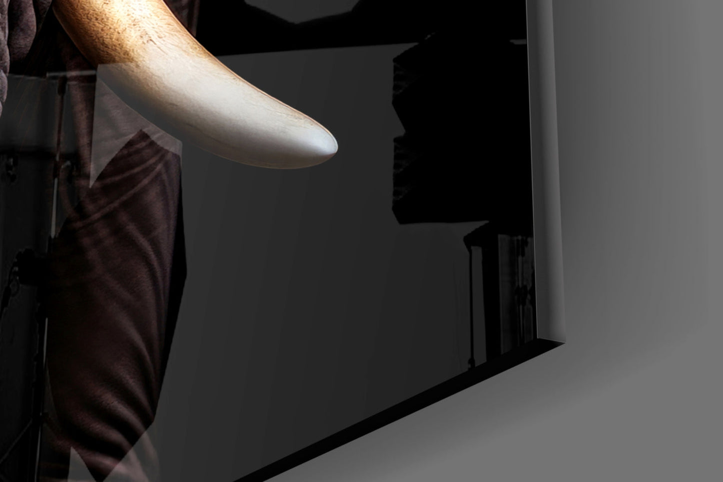 The Wise Look of the Elephant Glass Wall Art || Designer Collection