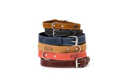 Pro Line Leather Hunting Dog Collar