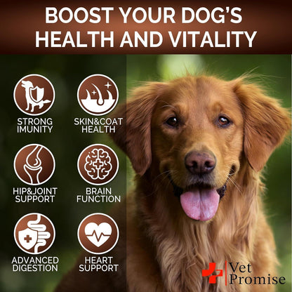 Mushroom Chews for Dogs 170 Count Turkey Tail Lion's Mane & Reishi