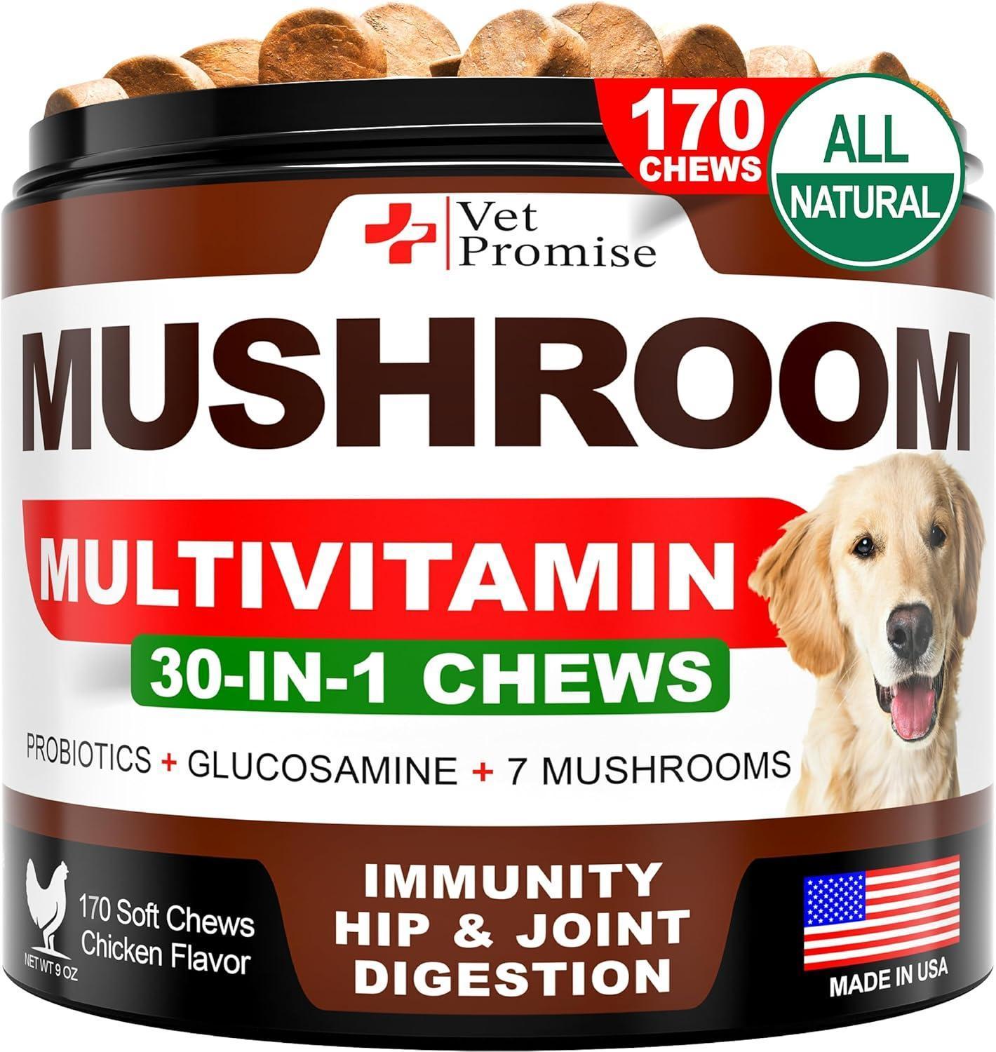Mushroom Chews for Dogs 170 Count Turkey Tail Lion's Mane & Reishi