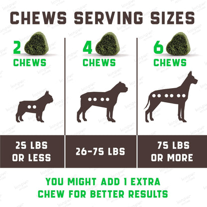 Green Lawn Chews for Dogs Urine Neutralizer Cranberry ACV & Enzymes
