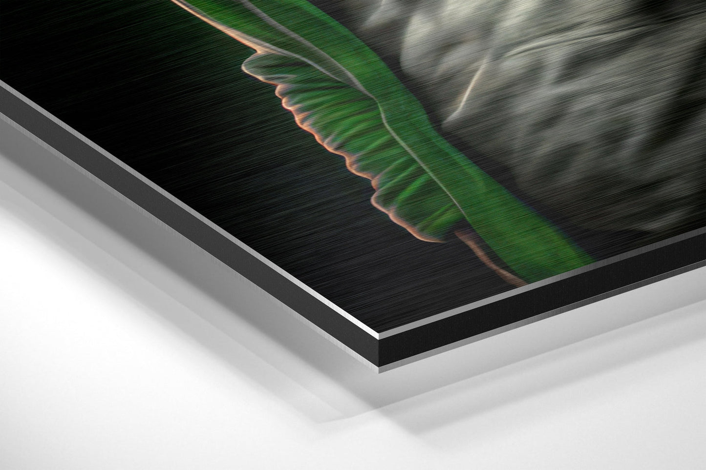 Green Hoodie Gorilla With Headphones Brushed Aluminum Dibond Wall Art