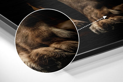 Roaring Lion in Darkness Brushed Aluminum Dibond Wall Art