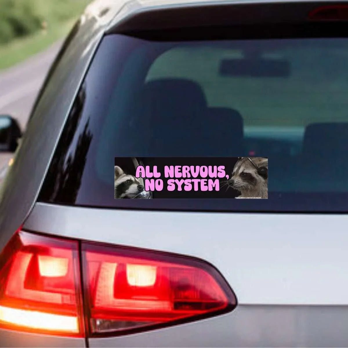 All Nervous, No System (Raccoon)
