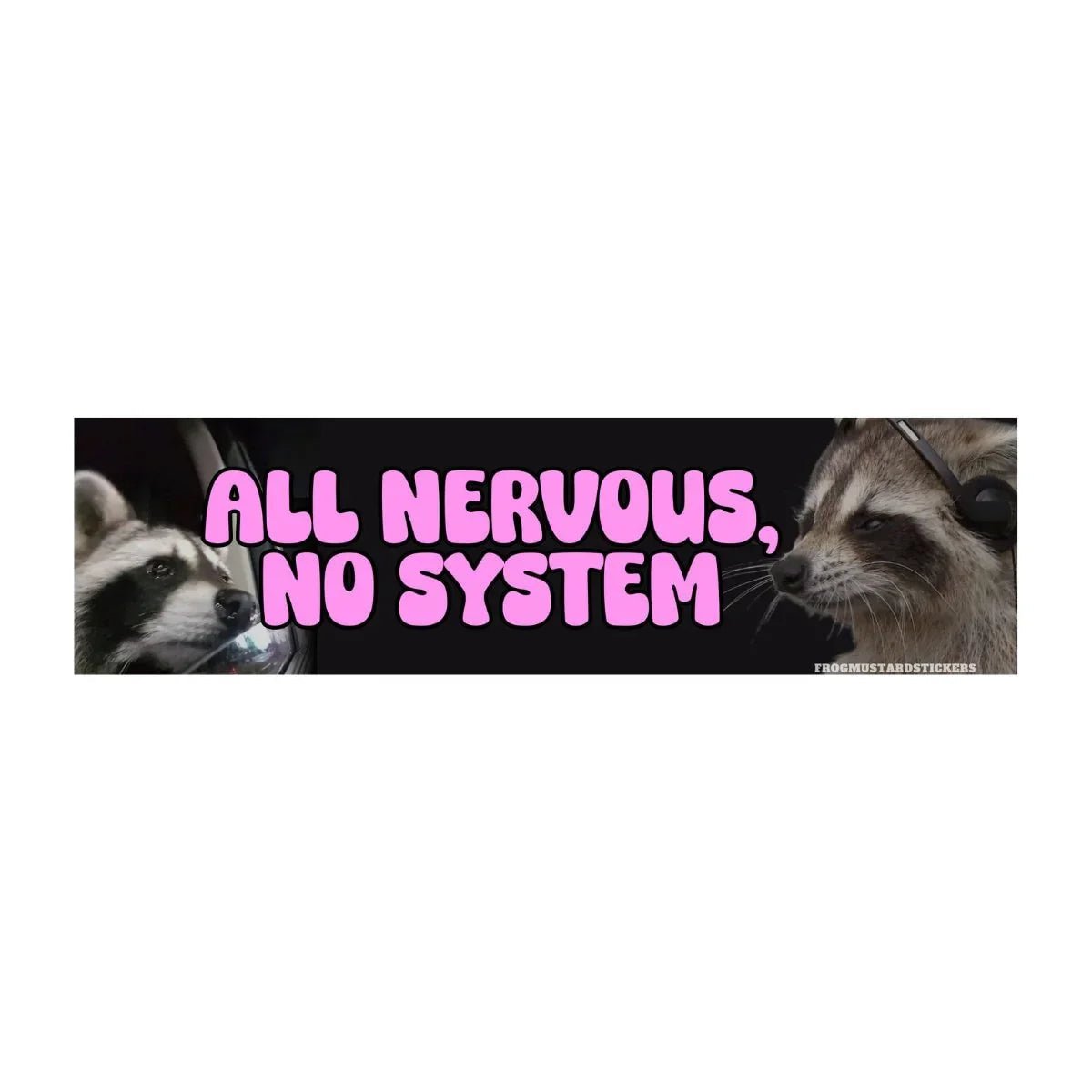 All Nervous, No System (Raccoon)