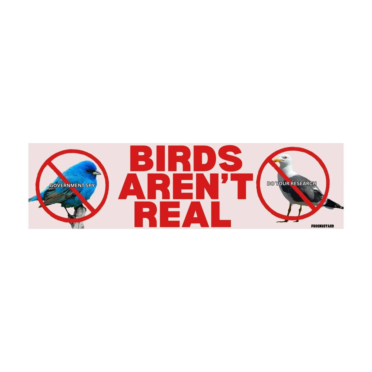 Birds Aren't Real