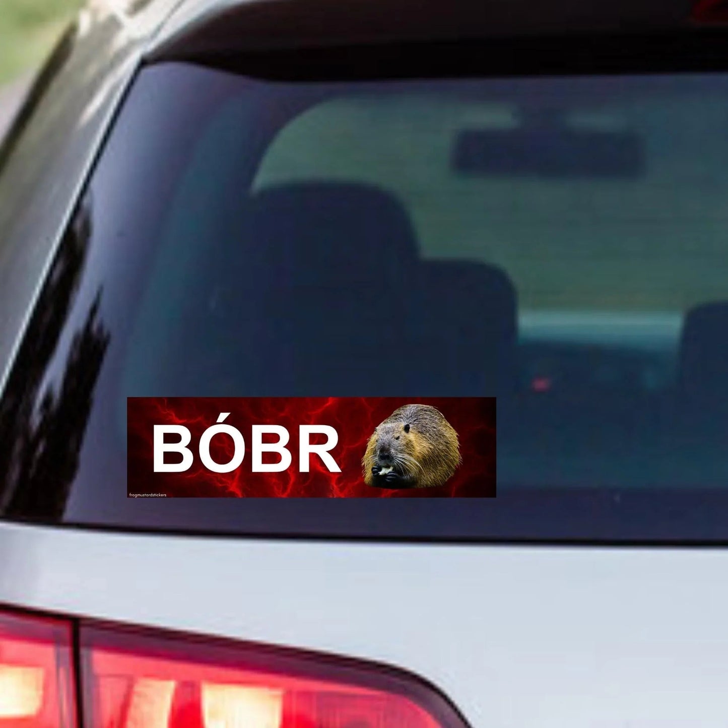 Bóbr (Bober/Bobber Polish Beaver)
