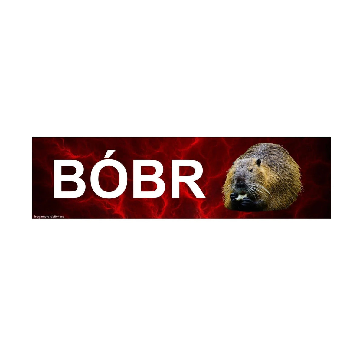 Bóbr (Bober/Bobber Polish Beaver)