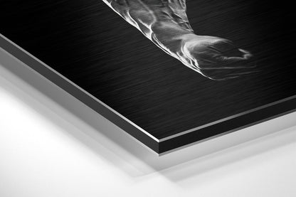 No More Excuses Brushed Aluminium Dibond Wall Art