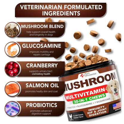 Mushroom Chews for Dogs 340 Count 2-Pack Turkey Tail Lion's Mane & Reishi