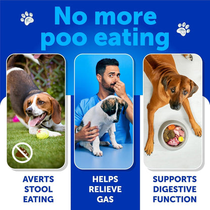 No Poo Chews for Dogs Coprophagia Stool-Eating Deterrent