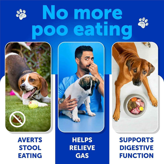 No Poo Chews for Dogs Coprophagia Stool-Eating Deterrent