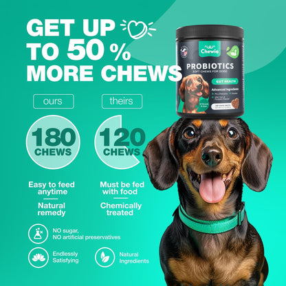 Probiotics for Dogs Digestive Enzymes Gut Health Pumpkin & Yeast Powder