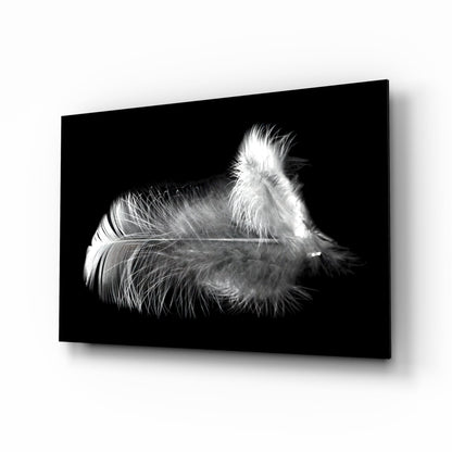 Soft White Feather Black Glass Wall Art