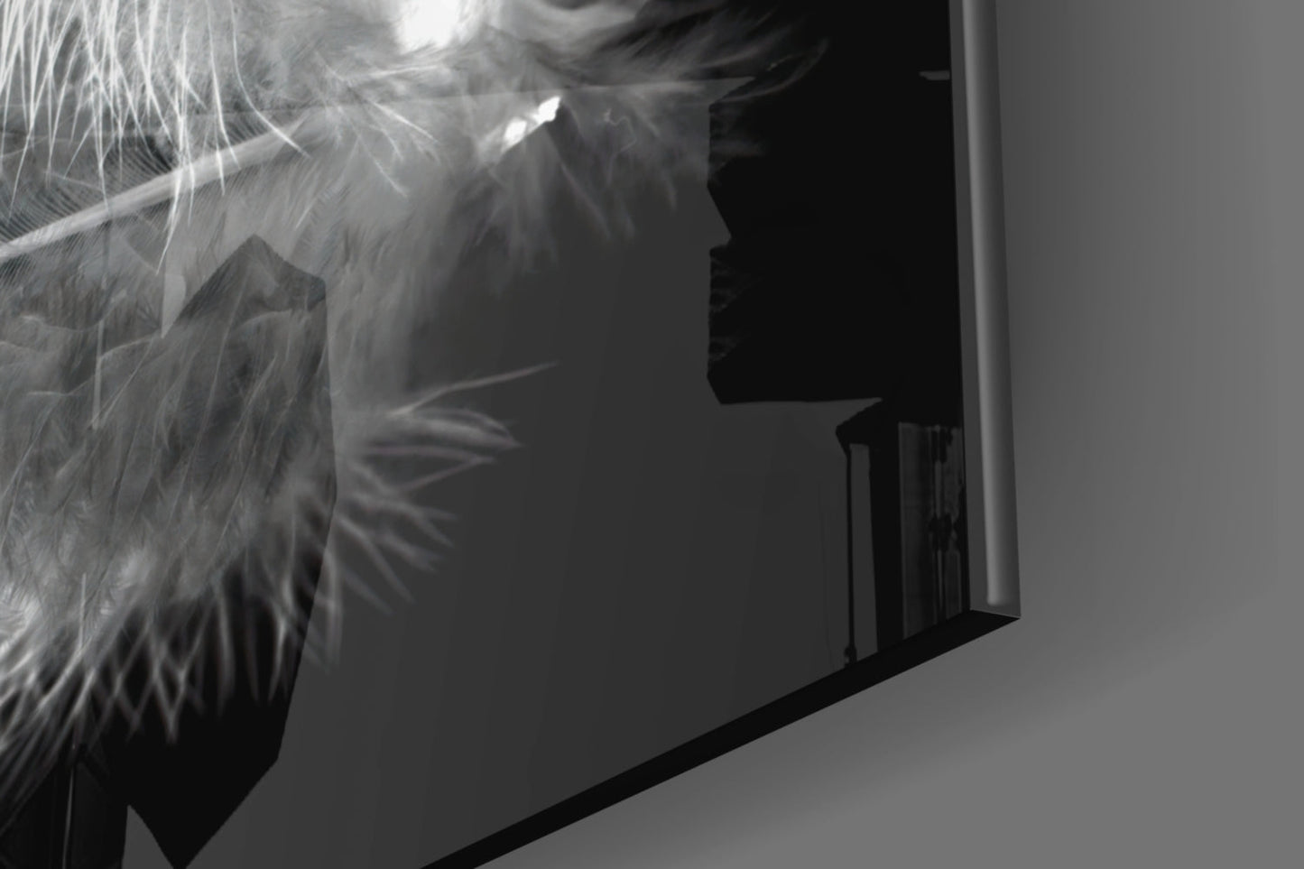 Soft White Feather Black Glass Wall Art