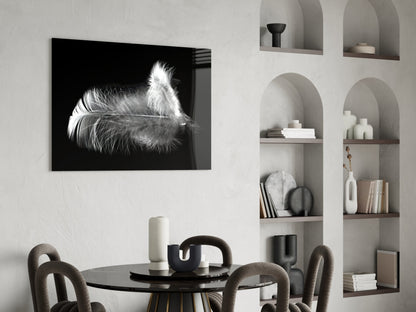 Soft White Feather Black Glass Wall Art