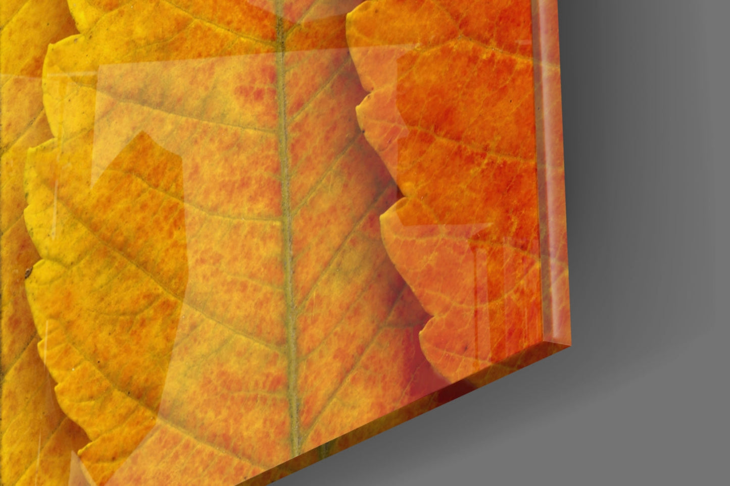 Macro Serrated Leaves Color Shift Glass Wall Art