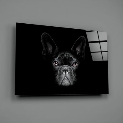 Black French Bulldog Portrait Glass Wall Art